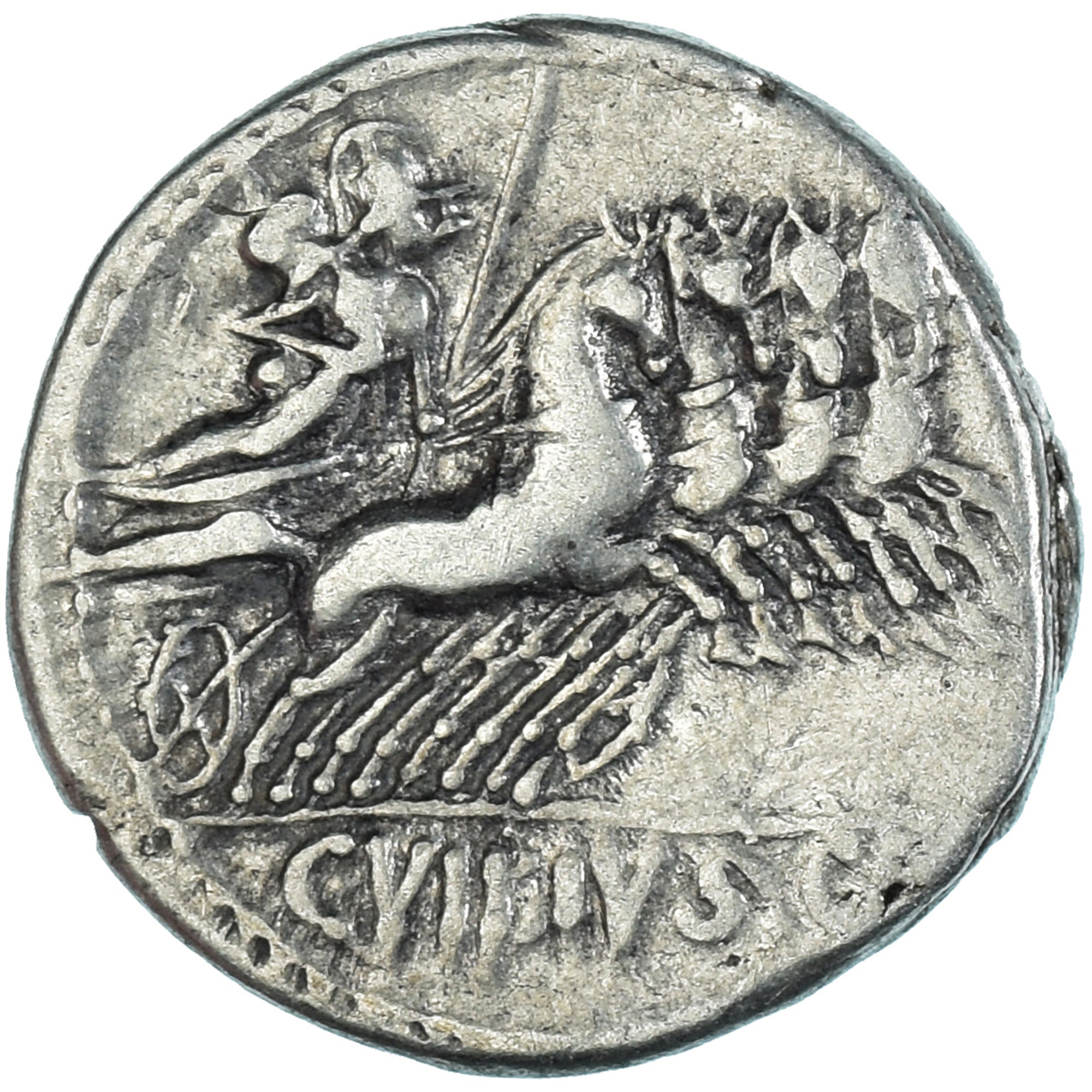 Moneta,
C. Vibius C.f. Pansa.,
Denar