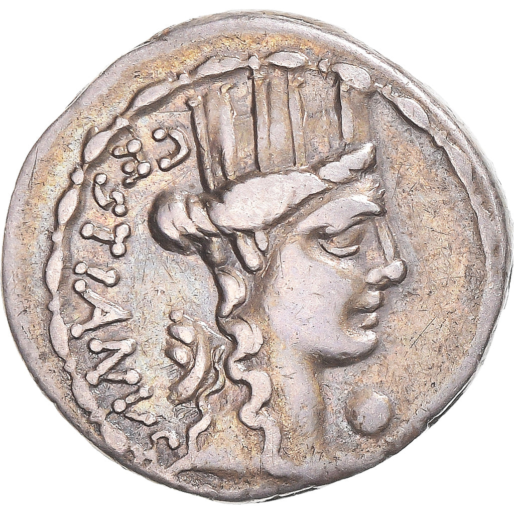 Moneta, 
  
  Plaetoria, 
  
  Denar