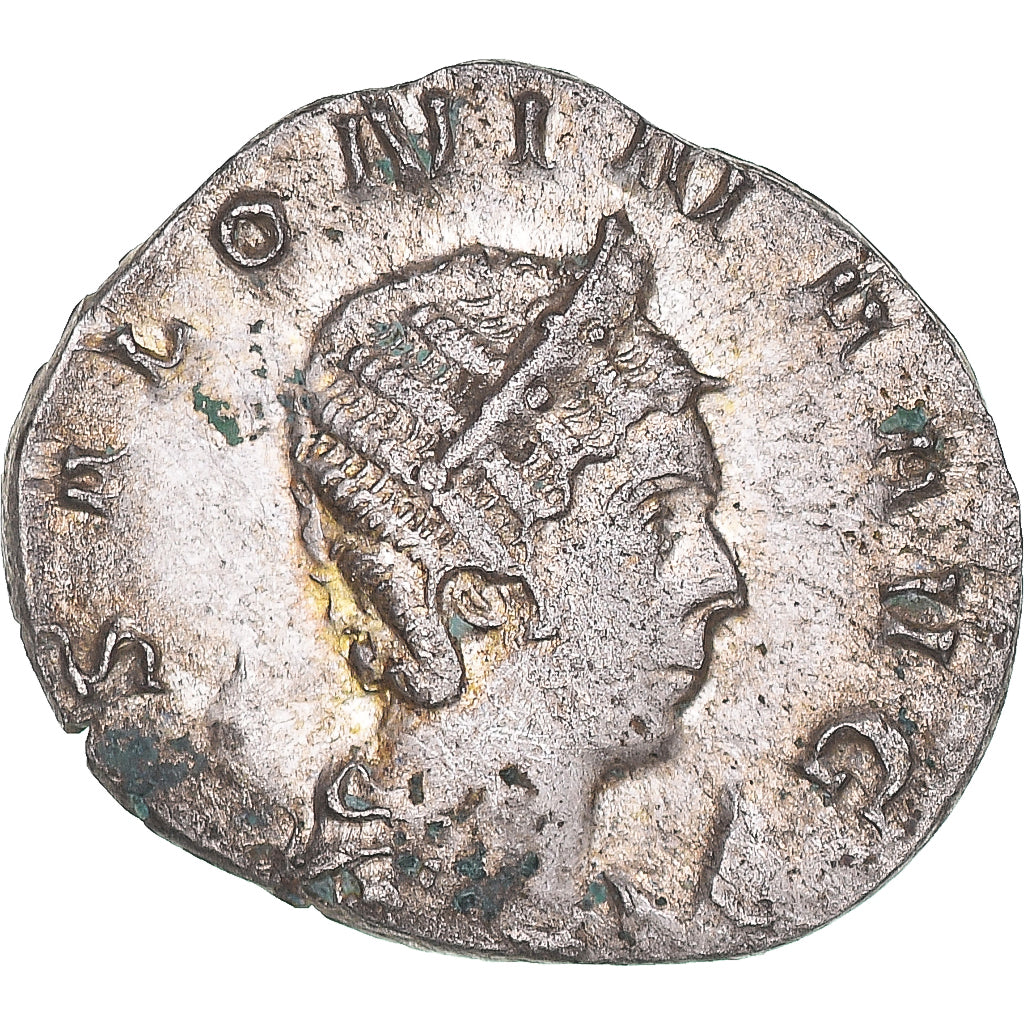 Moneta, 
  
  Saloninie, 
  
  Antoninian